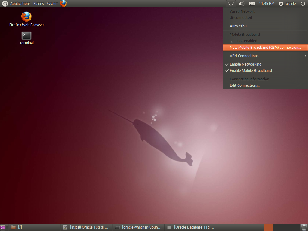 Ubuntu 11.3